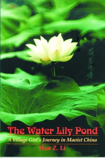 The Water Lily Pond