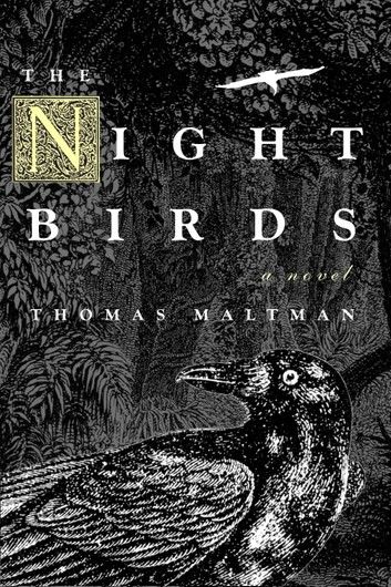 The Night Birds