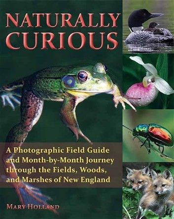 Naturally Curious