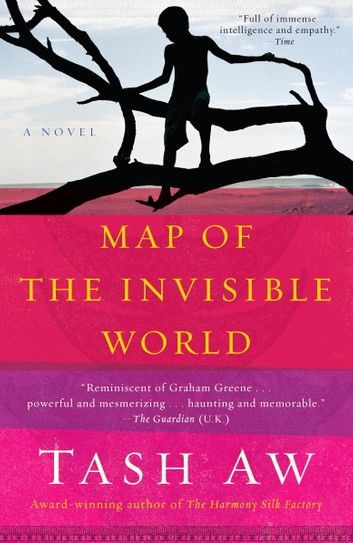 Map of the Invisible World