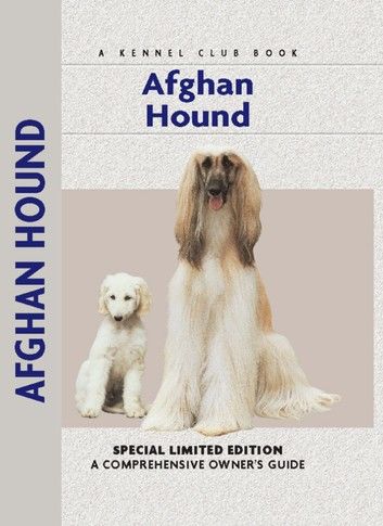 Afghan Hound