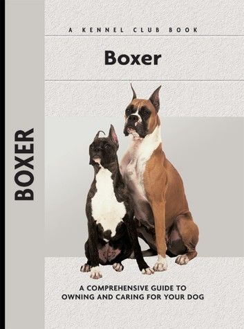 Boxer