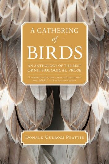 A Gathering of Birds