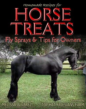 Homemade Recipes for Horse Treats plus Fly Sprays and Tips for Owners