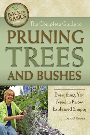 The Complete Guide to Pruning Trees and Bushes: Everything You Need to Know Explained Simply