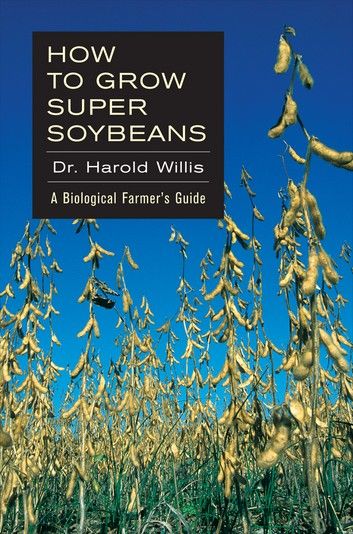 How to Grow Super Soybeans