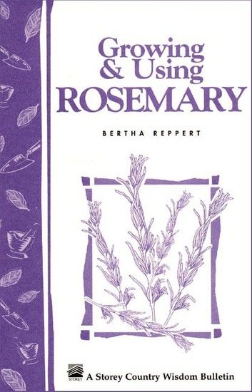 Growing & Using Rosemary