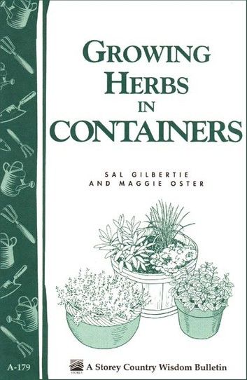 Growing Herbs in Containers