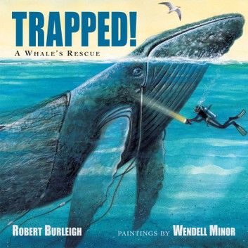 Trapped! A Whale\