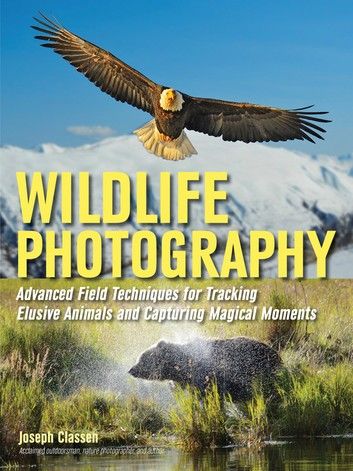 Wildlife Photography