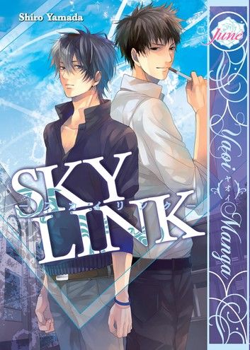 Sky Link (Yaoi Manga)