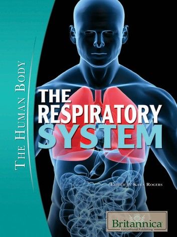 The Respiratory System