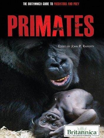 Primates