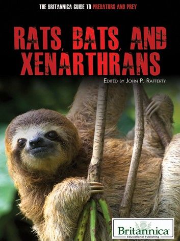 Rats, Bats, and Xenarthrans