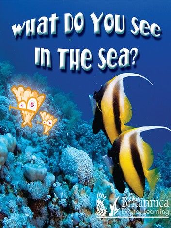 What Do You See in the Sea?