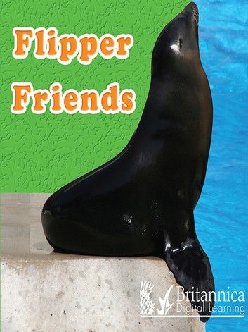 Flipper Friends