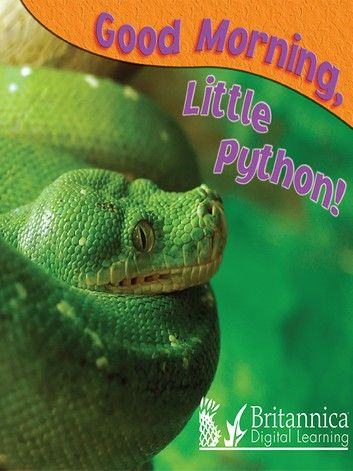 Good Morning, Little Python!