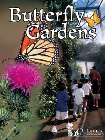 Butterfly Gardens