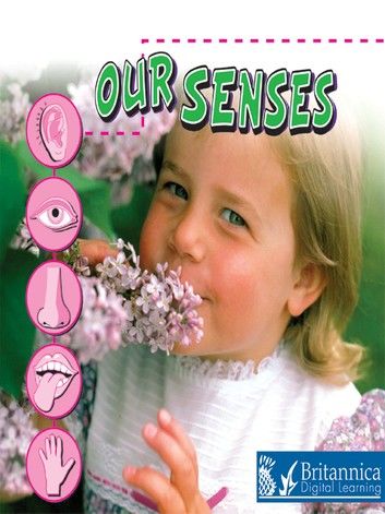 Our Senses