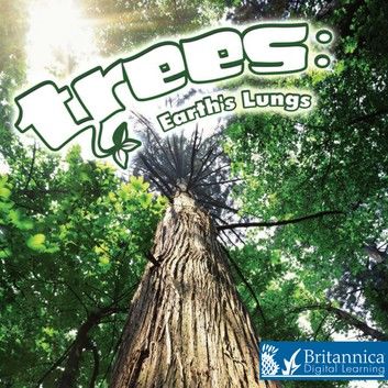 Trees: Earth\