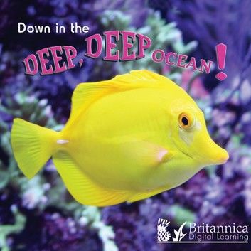 Down in the Deep Deep Ocean