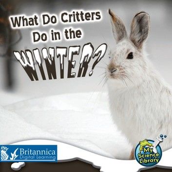 What Do Critters Do in the Winter?