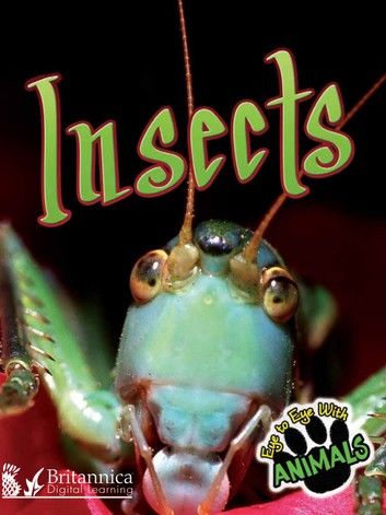 Insects