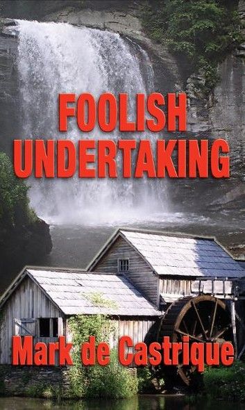 Foolish Undertaking