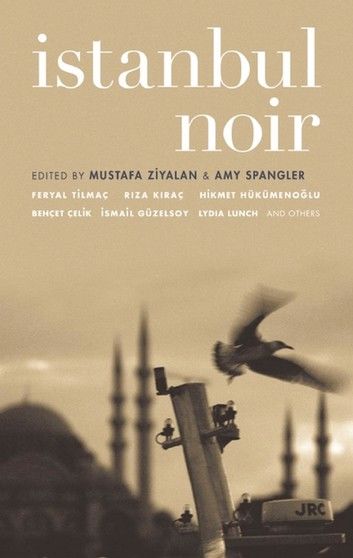 Istanbul Noir (Akashic Noir)