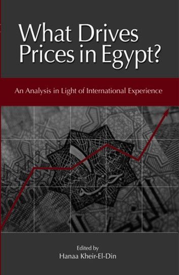 What Drives Prices in Egypt?