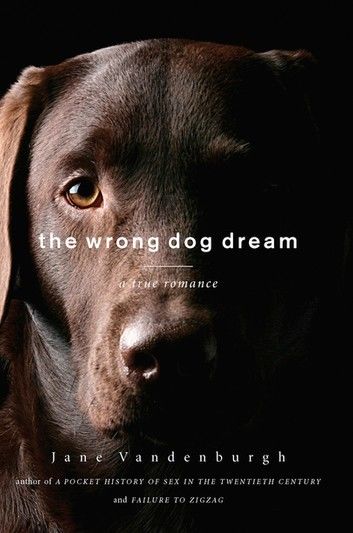 The Wrong Dog Dream