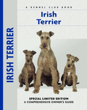 Irish Terrier