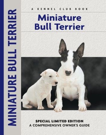 Miniature Bull Terrier