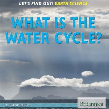 What Is the Water Cycle?