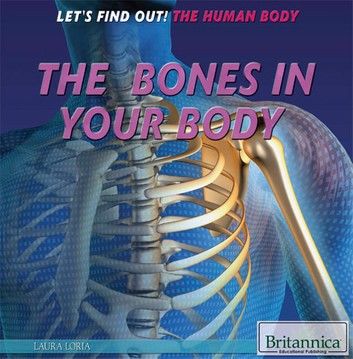 The Bones in Your Body