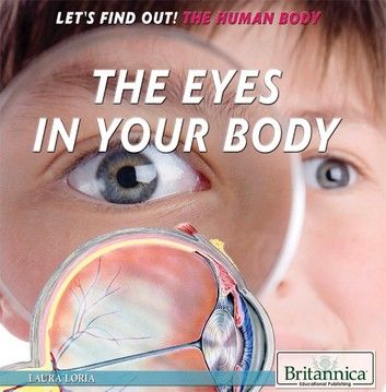 The Eyes in Your Body