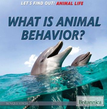 What Is Animal Behavior?