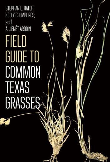 Field Guide to Common Texas Grasses