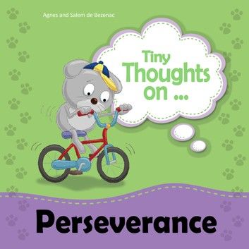 Tiny Thoughts on Perseverance