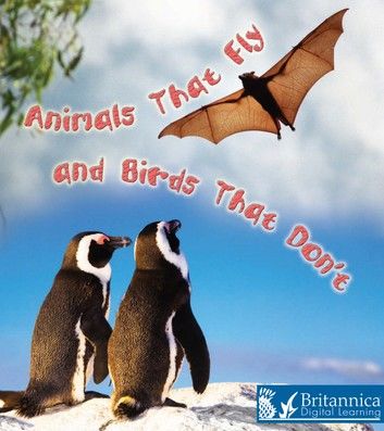 Animals That Fly and Birds That Don\