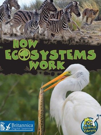 How Ecosystems Work