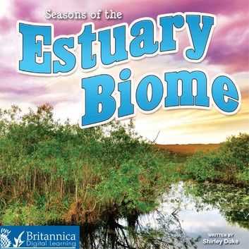 Seasons of the Estuary Biome