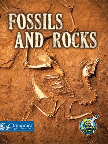 Fossils and Rocks