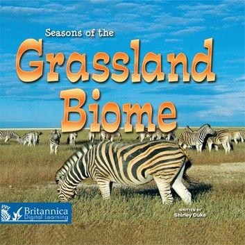 Seasons of the Grassland Biome