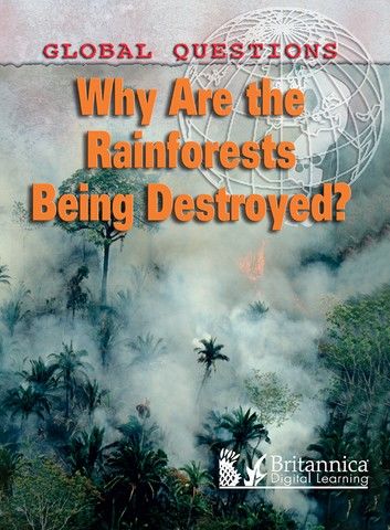 Why Are the Rain Forests Being Destroyed?