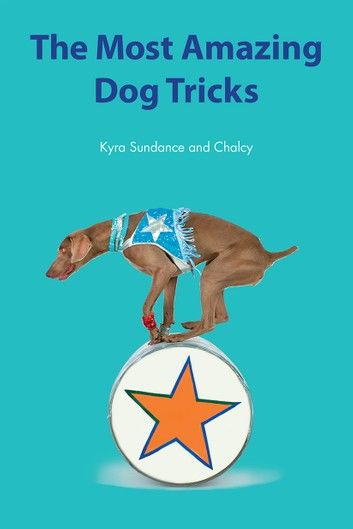 101 Dog Tricks