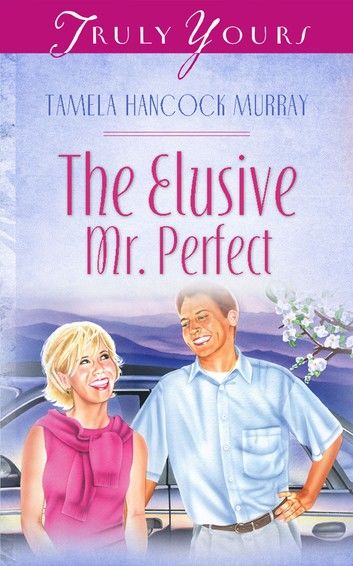 The Elusive Mr. Perfect