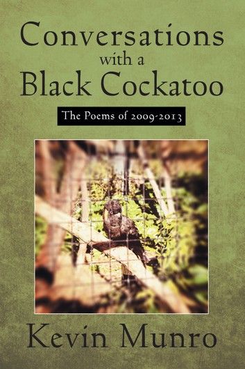 Conversations with a Black Cockatoo