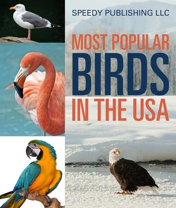 Most Popular Birds In The USA