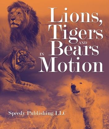 Lions, Tigers And Bears In Motion